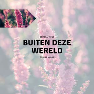 Buiten Deze Wereld - Ontspanning en Harmonie