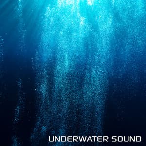 Underwater Sound - Underwater Sounds