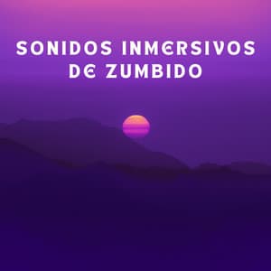 Sonidos Inmersivos De Zumbido - Ecos Débiles