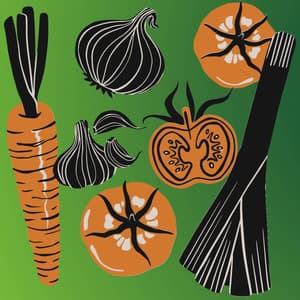 Backdrop for Lazy Chairs - Latin Music - Chill Vibes for Coffee Shops