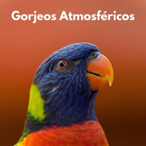 Gorjeos Atmosféricos - Fuerza atmosférica