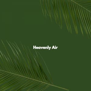 Heavenly Air - Co-Working Music Playlist
