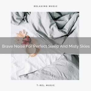 Brave Noise For Perfect Sleep And Misty Skies - The White Noise Zen & Meditation Sound Lab
