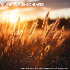 Musik zum Einschlafen gegen Gedankenkreisen sowie Entspannungsmusik für innere Ruhe - Entspannungsmusik