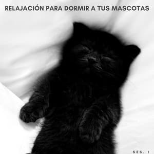 Relajación Para Dormir A Tus Mascotas Ses. 1 - Zen Master
