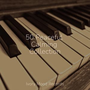 50 Peaceful Calming Collection - Ivory Mood