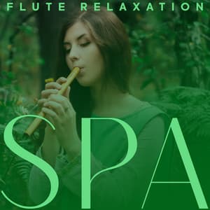 Flute Relaxation SPA: Native Journey, Spiritual Atmosphere, Flute Medicine - Spa Music Consort