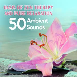 Oasis of Zen Therapy and Pure Relaxation: 50 Ambient Sounds of Nature - Liquid Life Oasis