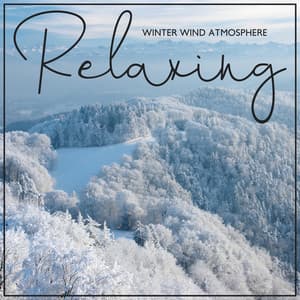 Relaxing Winter Wind Atmosphere: Noises of Wind for Sleep, Hypnosis, Relax, Meditation - Calm Nature Oasis