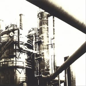 A Night of Unknown Death or Life - Scrote