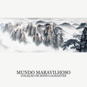 Mundo Maravilhoso Coleção de Sons Calmantes: Sons Relaxantes de Nova Idade para Calma e Paz Interna - Tempo de Música Oriental