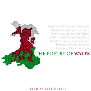 The Poetry of Wales - Bart Wolffe
