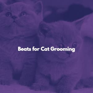 Beats for Cat Grooming - Cafe Bossa Nova Playlist