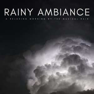 Rainy Ambiance: A Relaxing Morning By The Musical Rain - Rain Hive