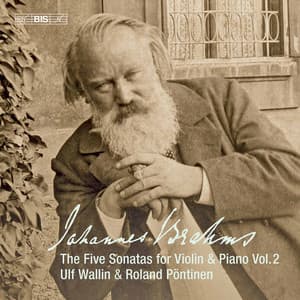 Brahms: Works for Violin & Piano, Vol. 2 - Johannes Brahms