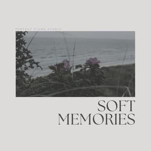 Soft Memories - Relaxing Radiance