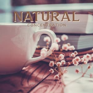 Natural Concentration: Nature Sounds for Intense Studying Sessions - Study Music Universe