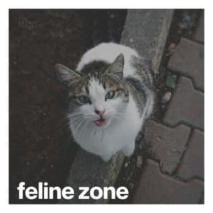 Feline Zone - Soothing Cat Music