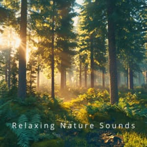 Relaxing Nature Sounds Sleep Therapy - Relaxing Nature Sounds