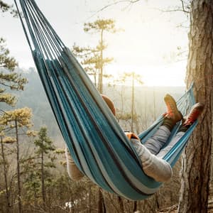 Tranquil Vibes: Music for Relaxation and Calm - Instrumental Guitar Songs