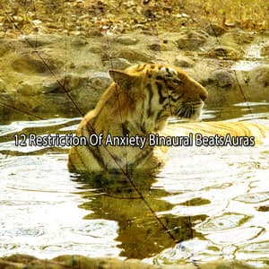 12 Restriction Of Anxiety Binaural BeatsAuras - Binaural Nature Sounds Relaxing