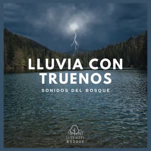 Lluvia con Truenos: Sonidos del Bosque - Lluvia Del Bosque