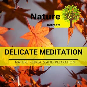 Delicate Meditation - Nature Retreats and Relaxation - Zen Healing Melodies