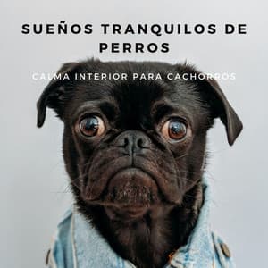 Sueños Tranquilos De Perros: Calma Interior Para Cachorros - Serenidad y Armonía