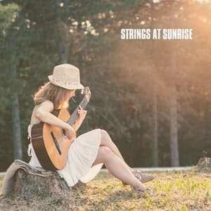 Strings at Sunrise - Acoustic Guitar Hits