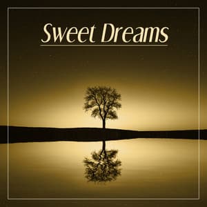 Sweet Dreams – Listen Music to Sleep All Night, Music to Help You Relax, Sleep Well - Soothing Music Specialists