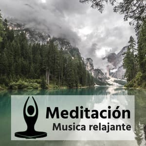 Meditacion – Musica relajante para yoga, reiki, zen, sonidos de la naturaleza para mindfulness, piano instrumental - Maestros de música de la meditación