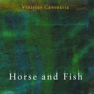 Horse and Fish - Vinicius Cantuaria