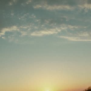 10 AM Woodlands: Chakra Waterpads - Baltic Nature Sounds