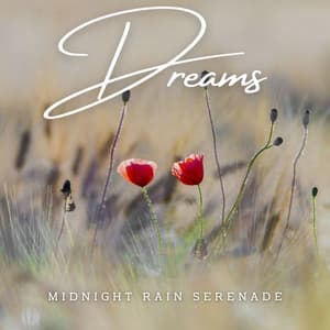 Ethereal Rainfall Reverie: Ambient Dreams for Serene Slumber - Rain Sounds For Sleep