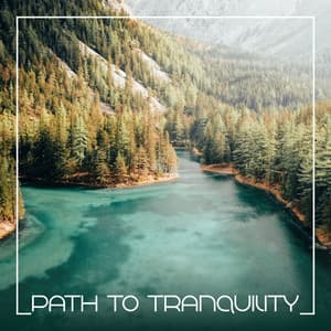 Path to Tranquility: Relaxing New Age Music Mix 2023 - Soothing Sounds Universe