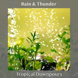 Tropical Downpours - Rain & Thunder