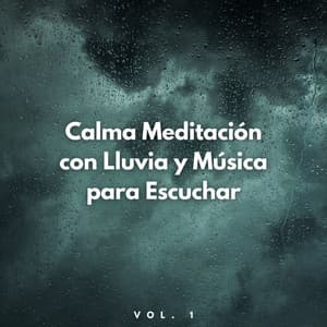 Calma Meditación Con Lluvia Y Música Para Escuchar Vol. 1 - Agradecida por la lluvia