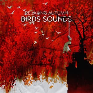 Relaxing Autumn Birds Sounds - Natural Sounds Music Academy