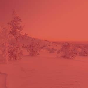 Trumpet Solo - Ambiance for Taking Notes - Elevator Music All-Stars