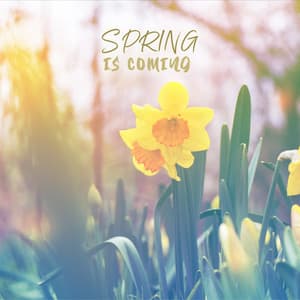 Spring is Coming: Waiting for the Spring Rays of the Sun and the Enveloping Wind - Background Music Masters