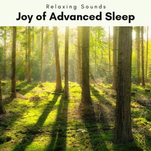 A Joy of Advanced Sleep - Heal Your Soul
