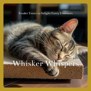 Whisker Whispers: Tender Tunes to Delight Furry Listeners - Cat & Calm