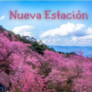 Una Nueva Estación: Sonidos Ambientales de Primavera - Canciones para Niños Maestro