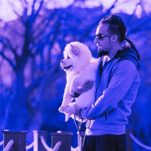 Ambiance for Friday Dog Events - Relax My Puppy