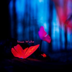 Mudra of Midnight Calm - Isaac Wake