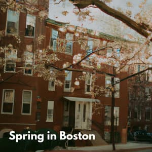 Boutique Hotel Jazz Music - Música de Oficina