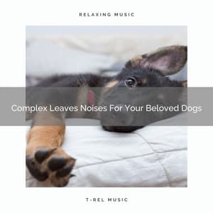 Complex Leaves Noises For Your Beloved Dogs - Pets Relax