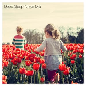 Deep Sleep Noise Mix. White and Brown Noise for Sleeping, Calming and Resting. - Sleep Noise Relax