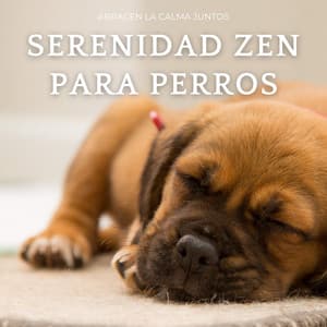 Serenidad Zen Para Perros: Abracen La Calma Juntos - Orquesta Nativa Americana