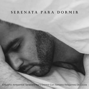 Ensueño Ambiental: Serenata Para Dormir Con Sonidos Relajantes De Lluvia - Gotas de lluvia para dormir